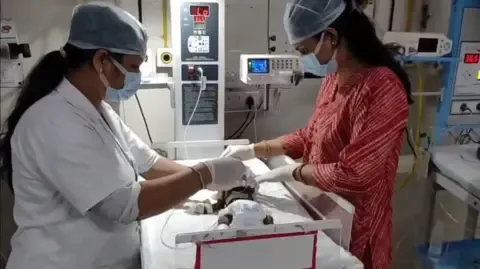 Baby Placed Living in India Fights for Her Life